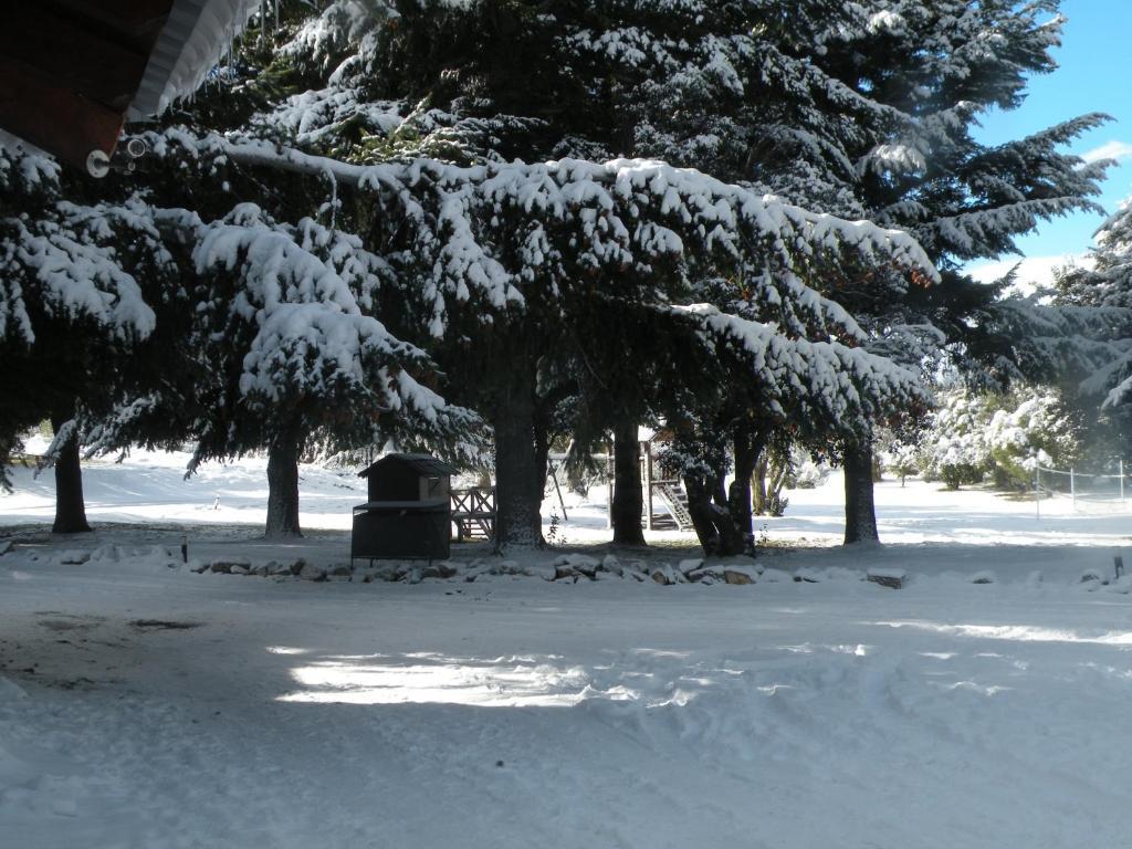 Estancia Del Carmen Mountain Resort サンカルロスデバリローチェ 部屋 写真